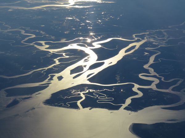 Parque Nacional Everglades