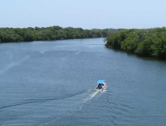 Laguna La Restinga