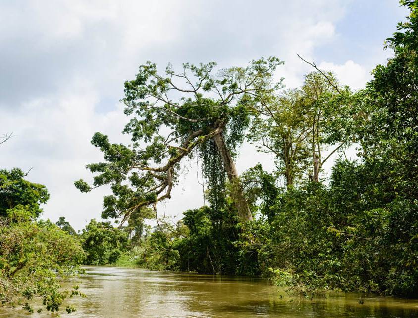 Reserva Biológica Indio Maíz