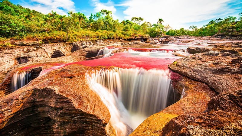 Caño Cristales