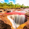 Caño Cristales